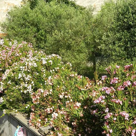 Σπίτι διακοπών Casa Angelino *
